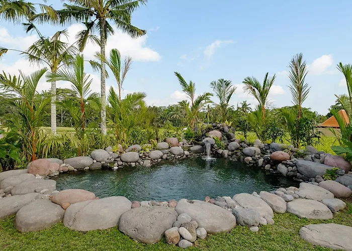 Villa Wooden Stone Eco
