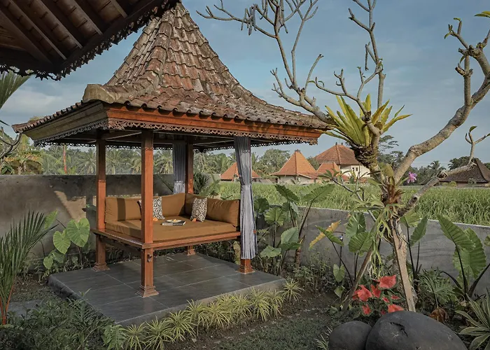 Wooden Stone Eco